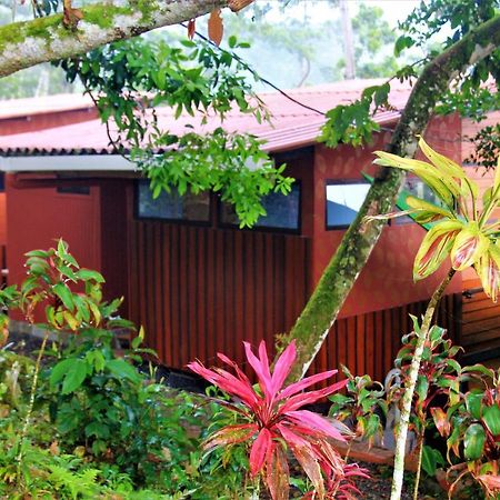 Casitas Eco Bambu Villa Cartago Exteriör bild