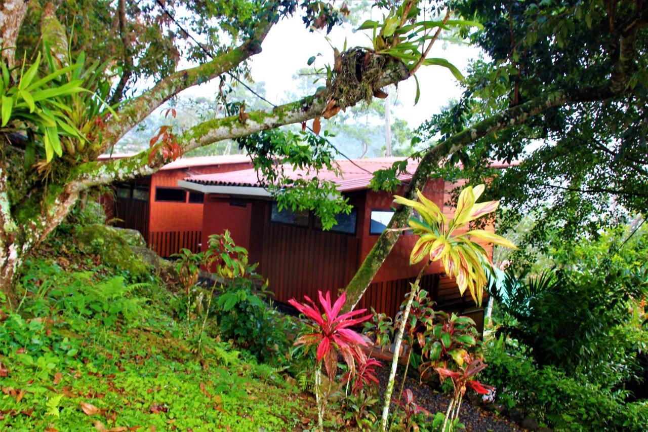 Casitas Eco Bambu Villa Cartago Exteriör bild