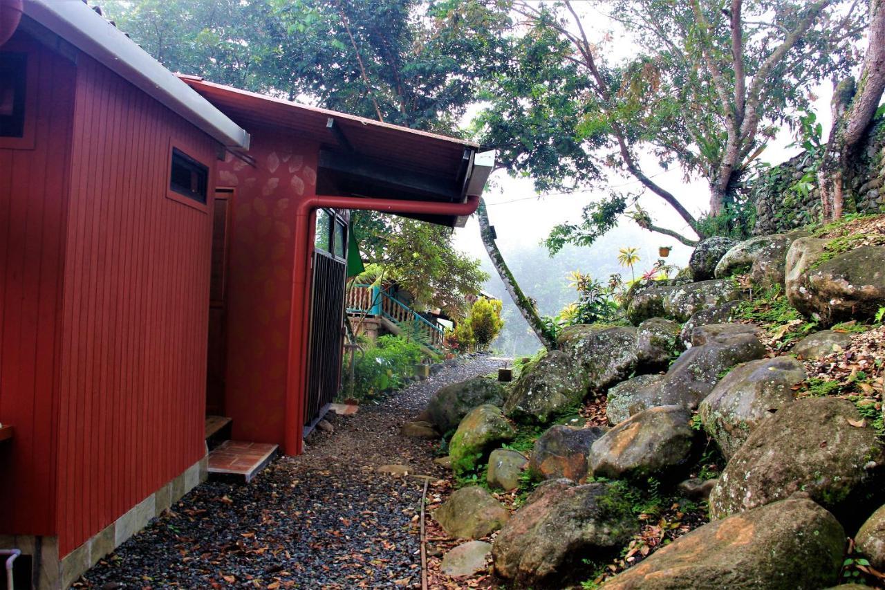 Casitas Eco Bambu Villa Cartago Exteriör bild