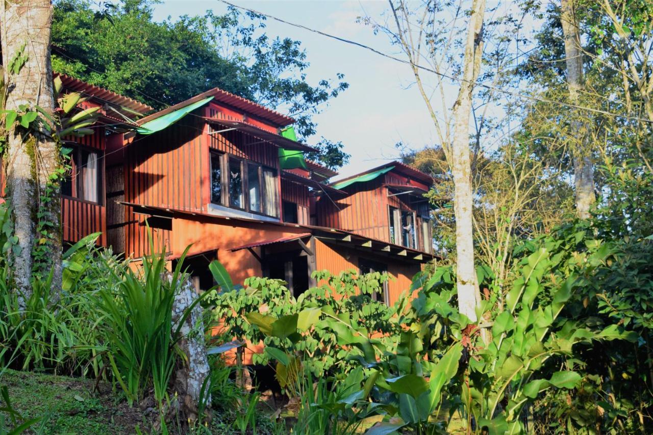 Casitas Eco Bambu Villa Cartago Exteriör bild