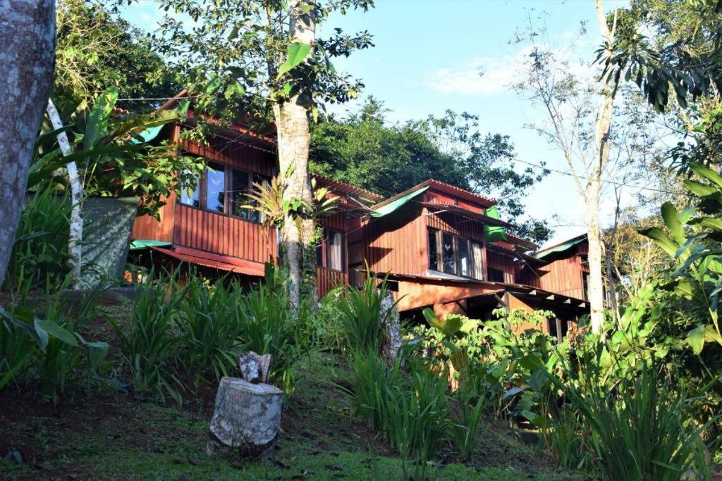 Casitas Eco Bambu Villa Cartago Exteriör bild