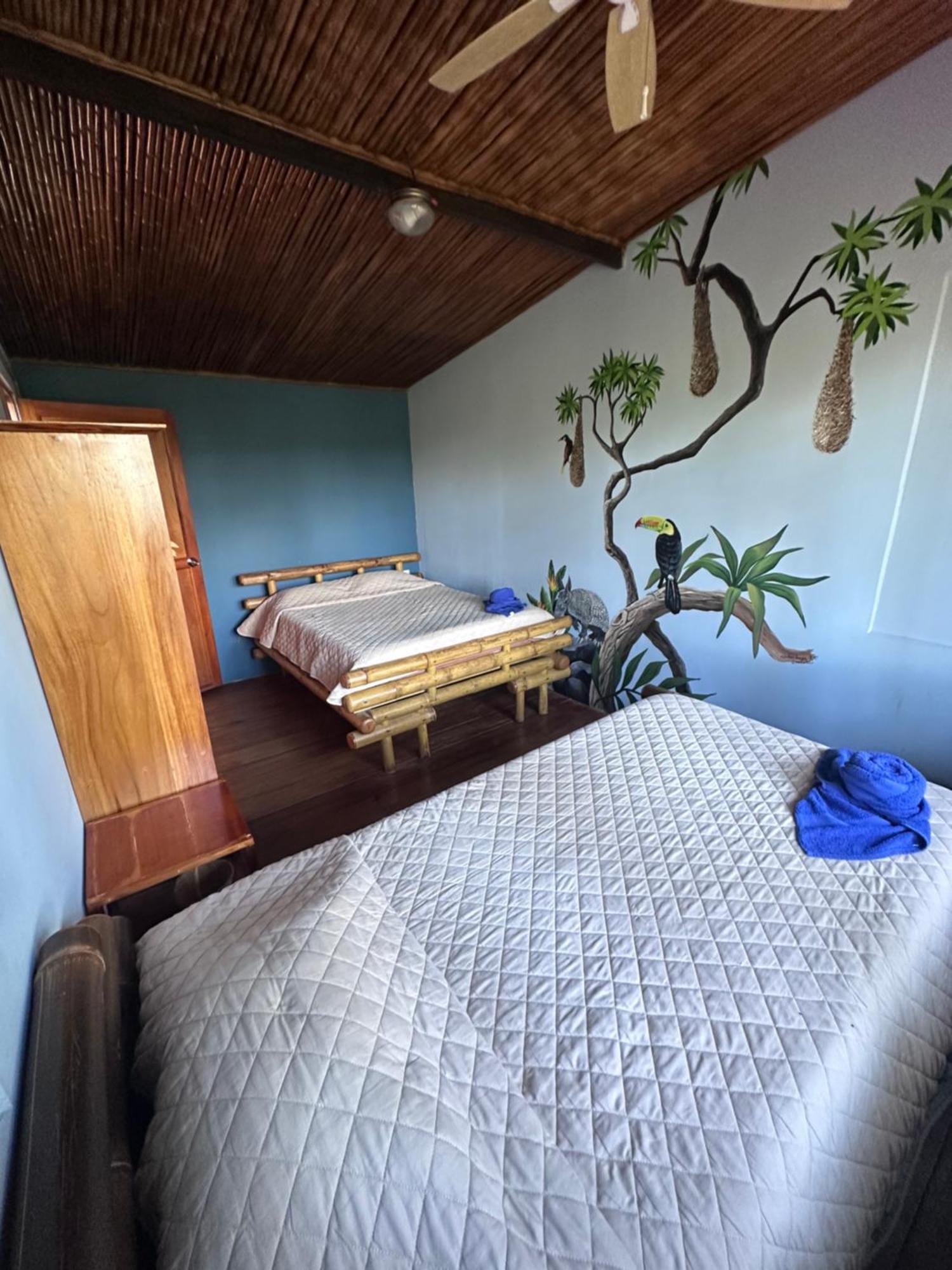 Casitas Eco Bambu Villa Cartago Exteriör bild